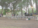 DSCN4657